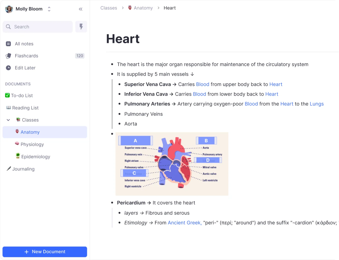 RemNote showing a note on the heart written as an outline, with linked terms in blue, a labeled heart diagram with some labels covered, and a sidebar with flashcards and class documents